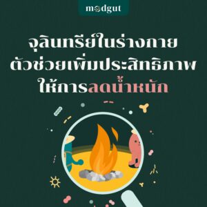 ลดน้ำหนัก
