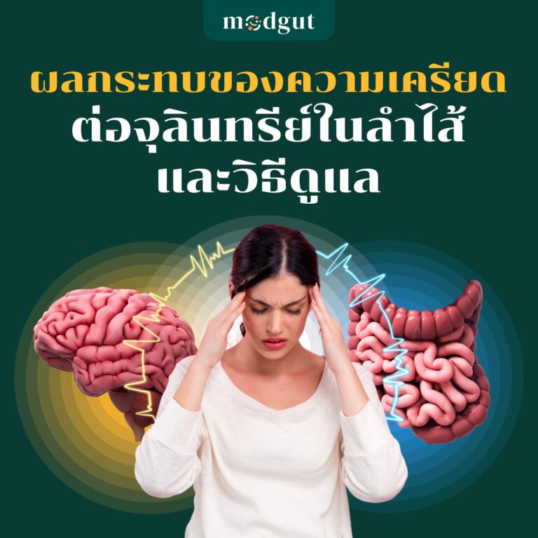 ผลกระทบของความเครียดต่อจุลินทรีย์ในลำไส้ และวิธีดูแลให้สมดุล