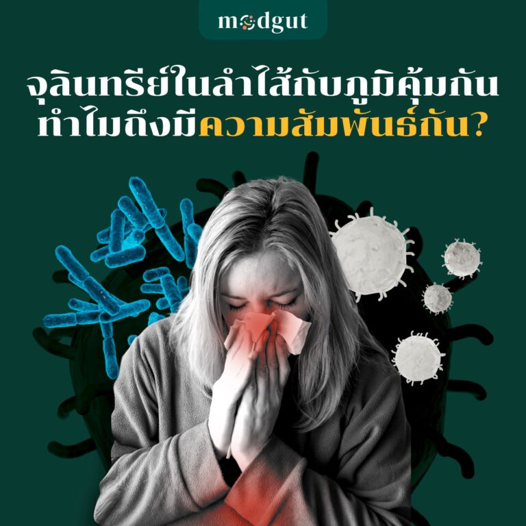 จุลินทรีย์ในลำไส้กับภูมิคุ้มกัน ทำไมถึงมีความสัมพันธ์กัน?