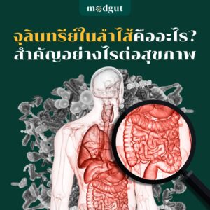 จุลินทรีย์ในลำไส้คืออะไร?