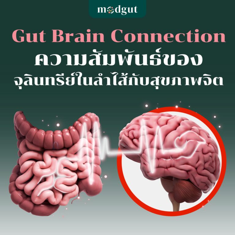 Gut-Brain Connection ความสัมพันธ์ของจุลินทรีย์ในลำไส้กับสุขภาพจิต