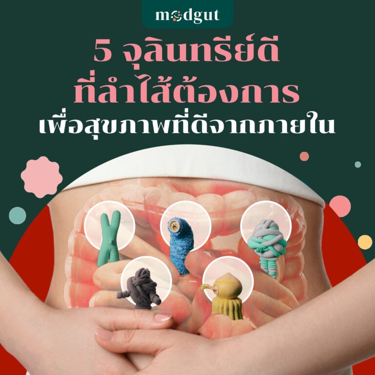 5 จุลินทรีย์ดีที่ลำไส้ต้องการ เพื่อสุขภาพที่ดีจากภายใน