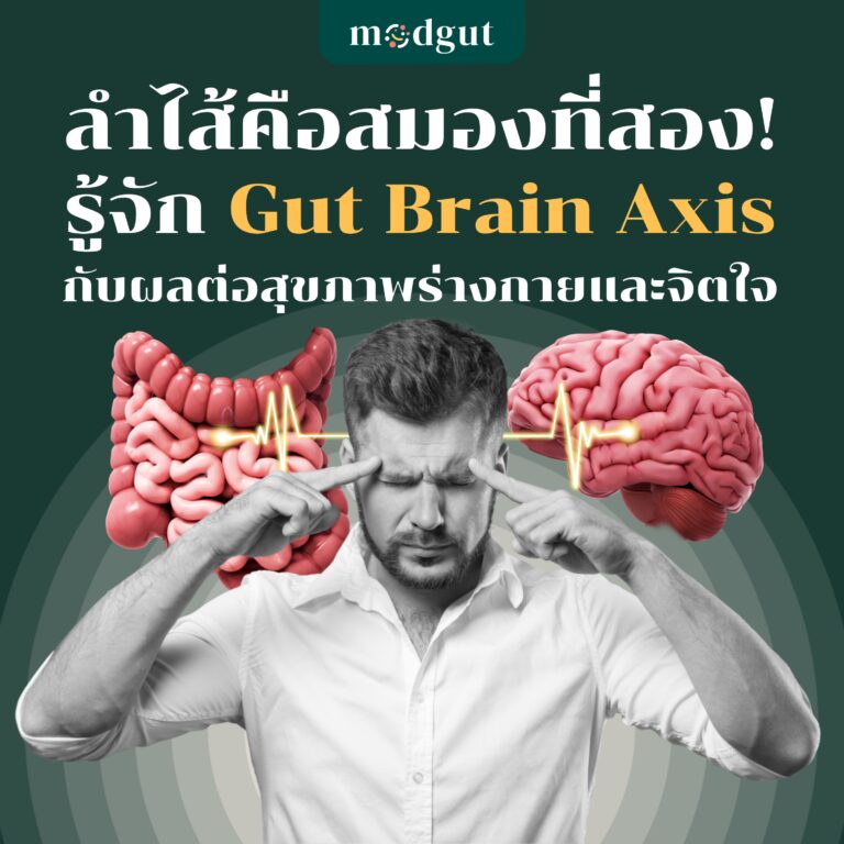 ลำไส้คือ “สมองที่สอง”! รู้จัก Gut–Brain Axis กับผลต่อสุขภาพร่างกายและจิตใจ