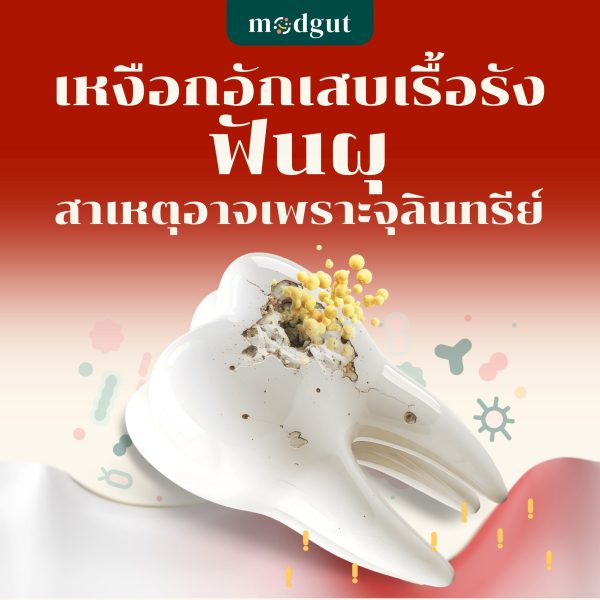 จุลินทรีย์