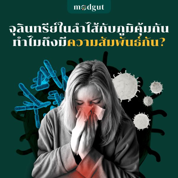 จุลินทรีย์ในลำไส้กับภูมิคุ้มกัน ทำไมถึงมีความสัมพันธ์กัน