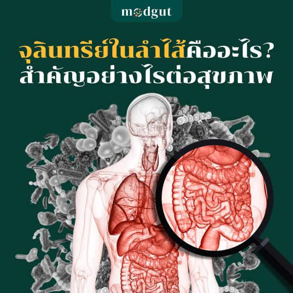 จุลินทรีย์ในลำไส้คืออะไร?