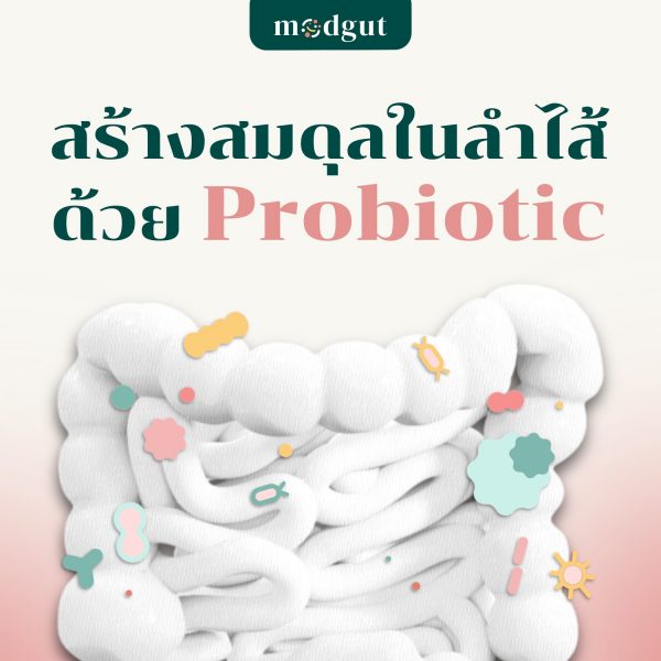 ลำไส้