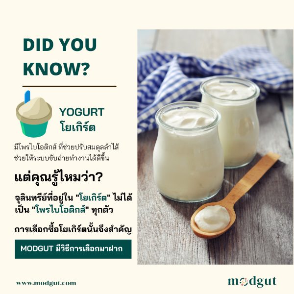 โยเกิร์ต